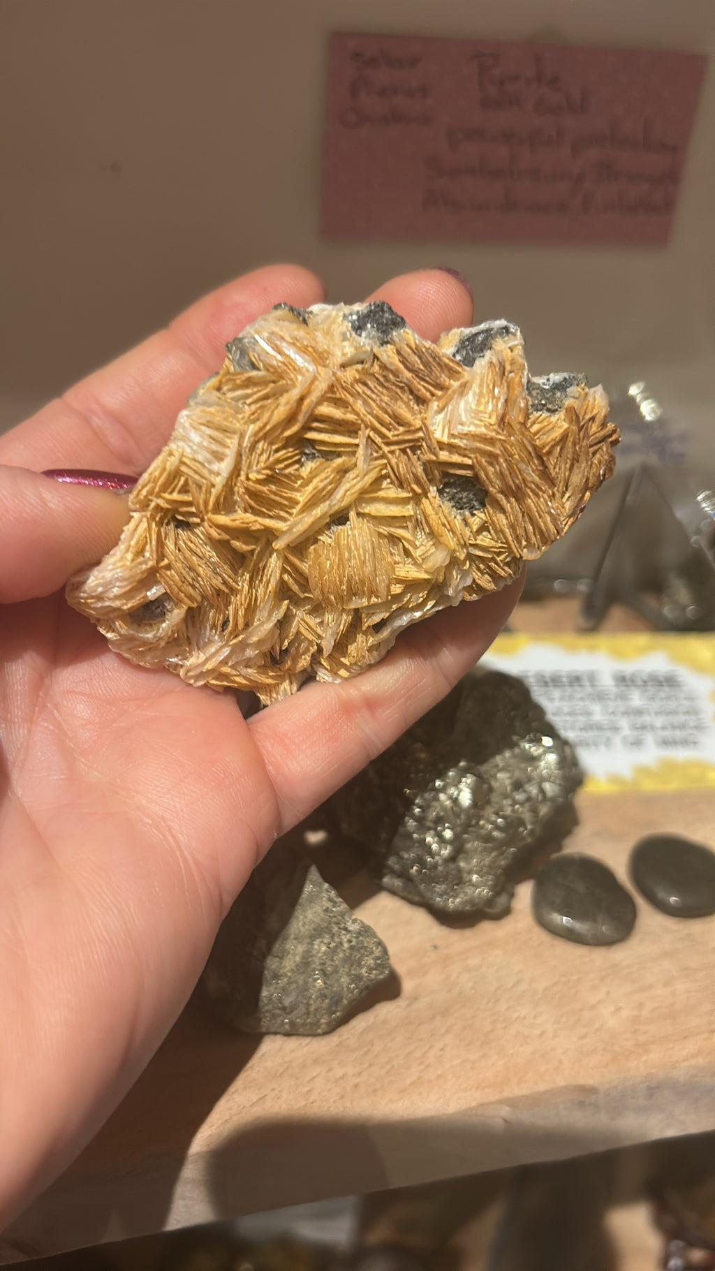 Desert Rose with Pyrite: Nature’s Warm Embrace