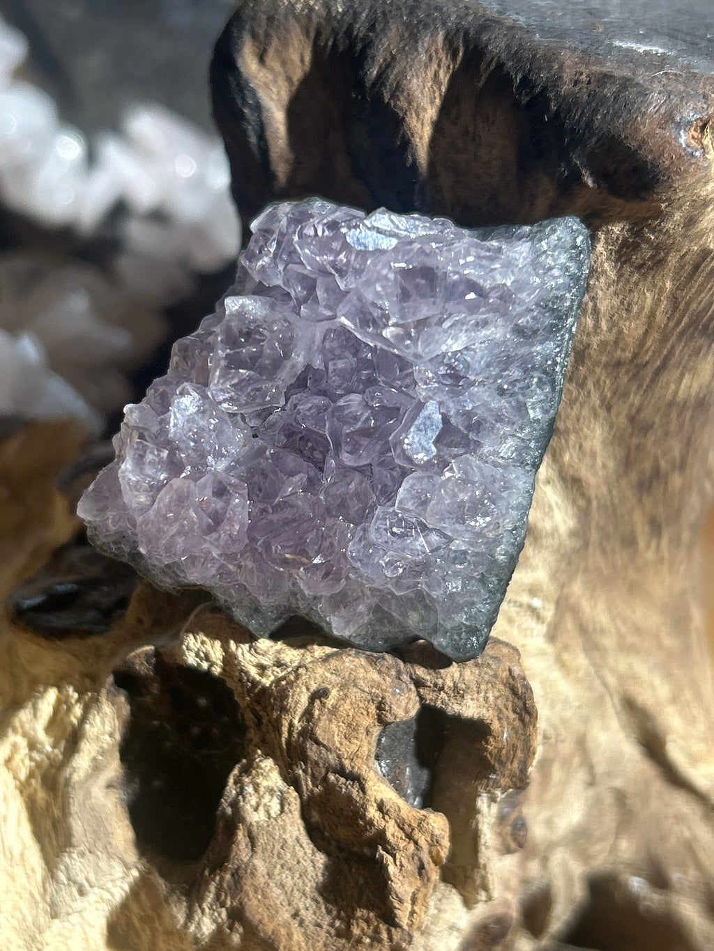 Mini Amethyst Crystal Specimen – 1.5 Inches | Calming Energy & Focus”