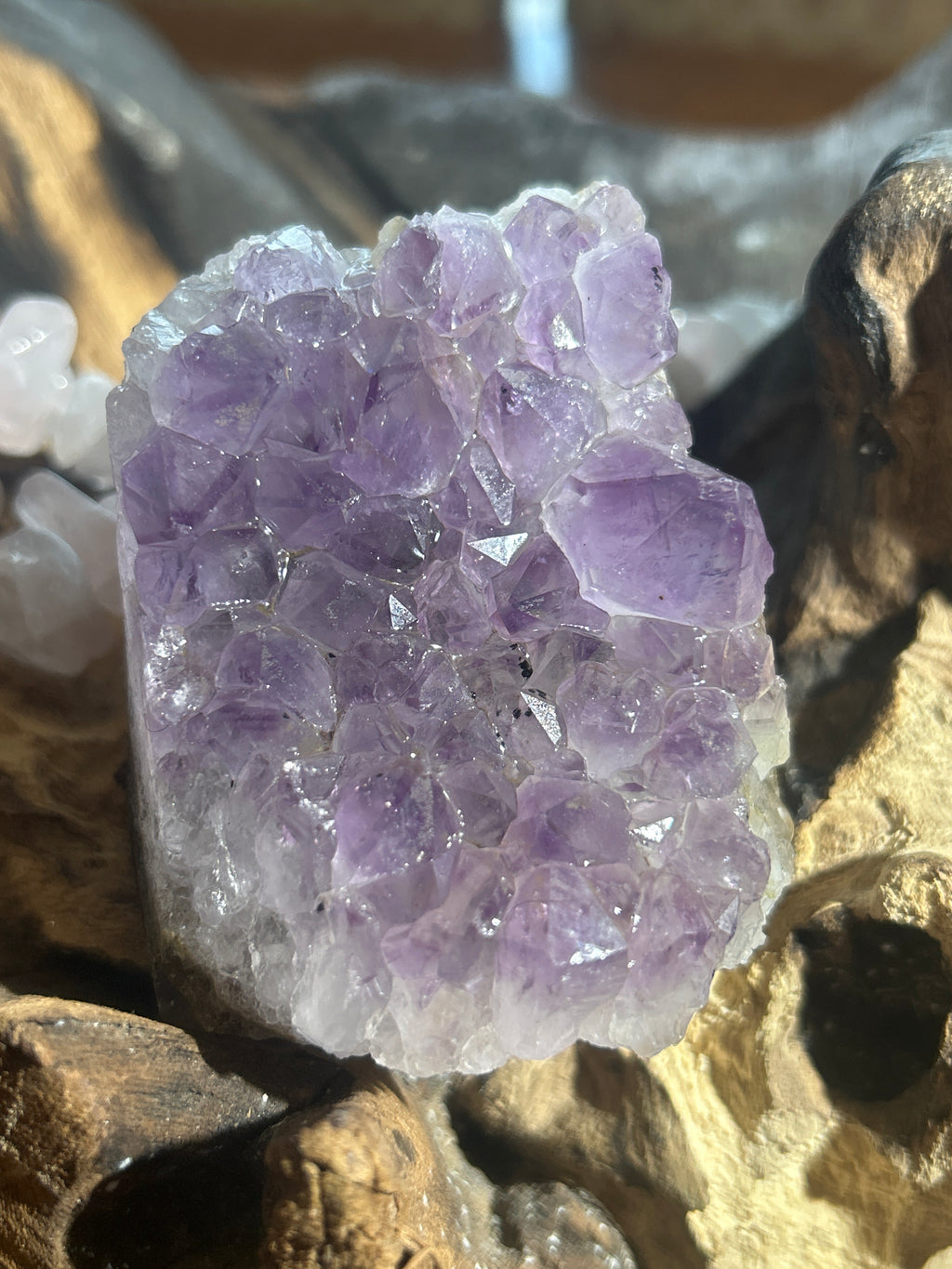 Amethyst Crystal Cluster – 2 Inches Tall, 8 Inches Round | Purification & Inner Peace”