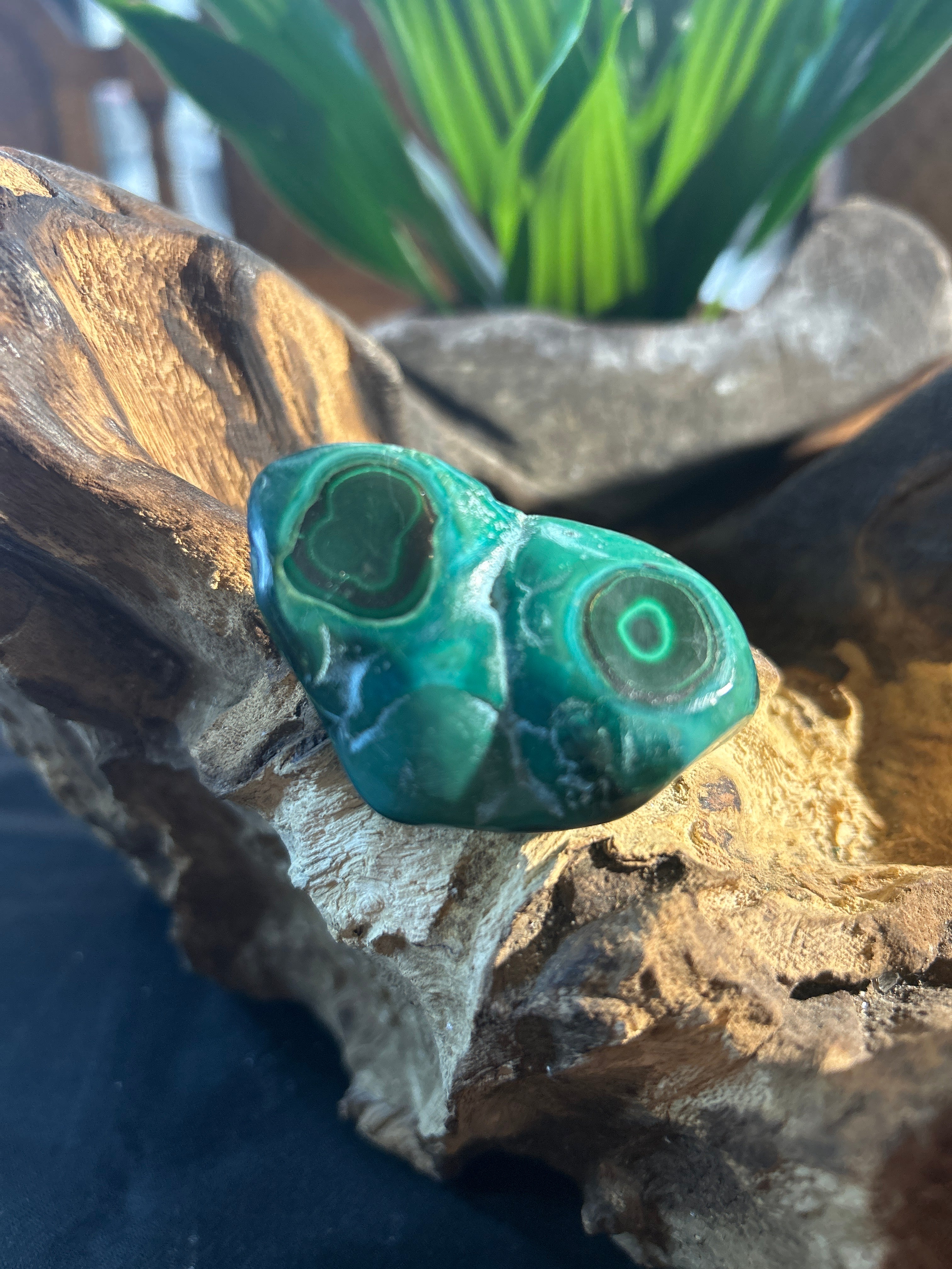 Malachite Essence: Unveiling Nature’s Power in Every Swirl 1 3/4“ x 1“