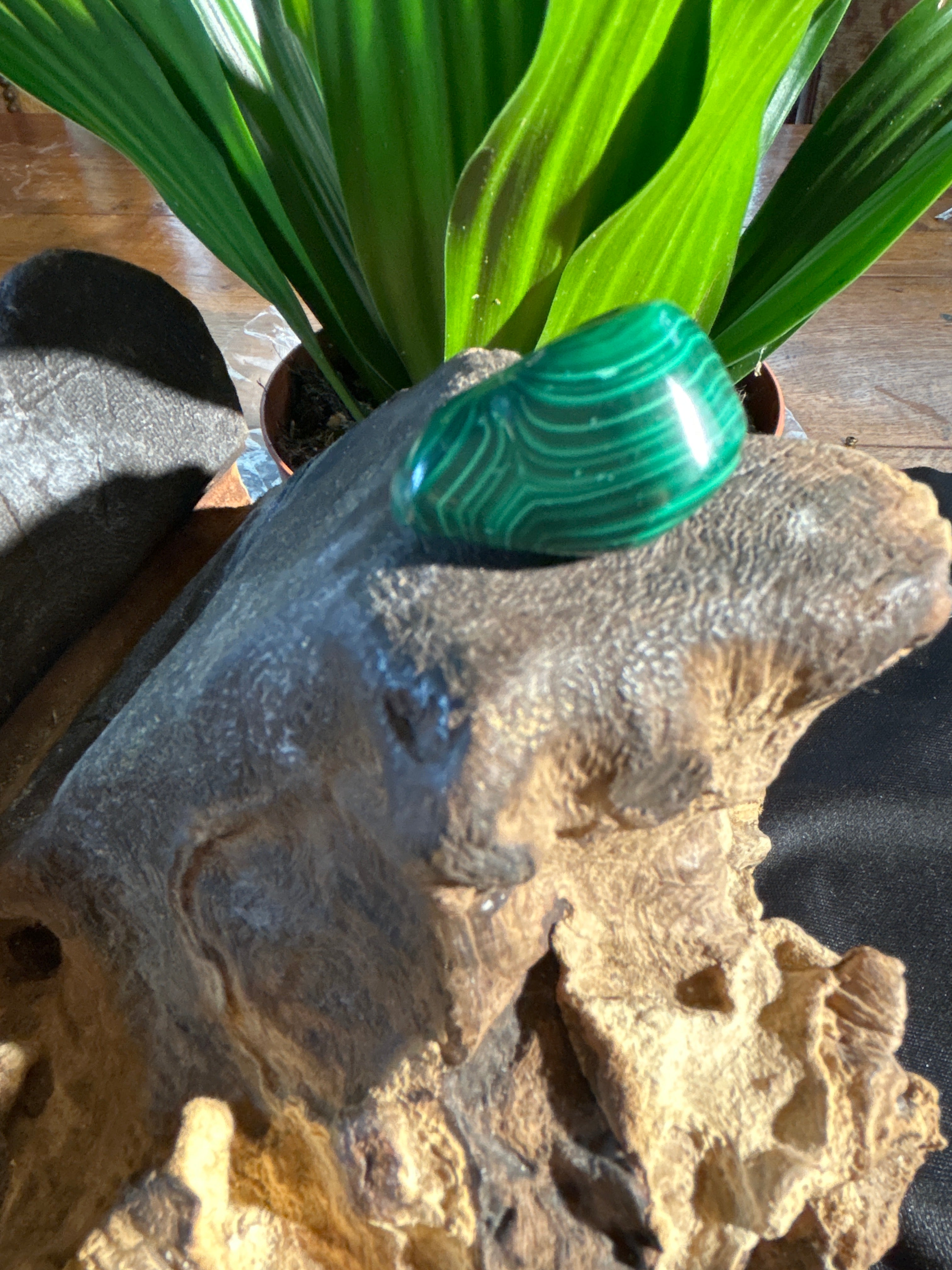 Malachite Tumbled Stone: A Compact Portal to Balance