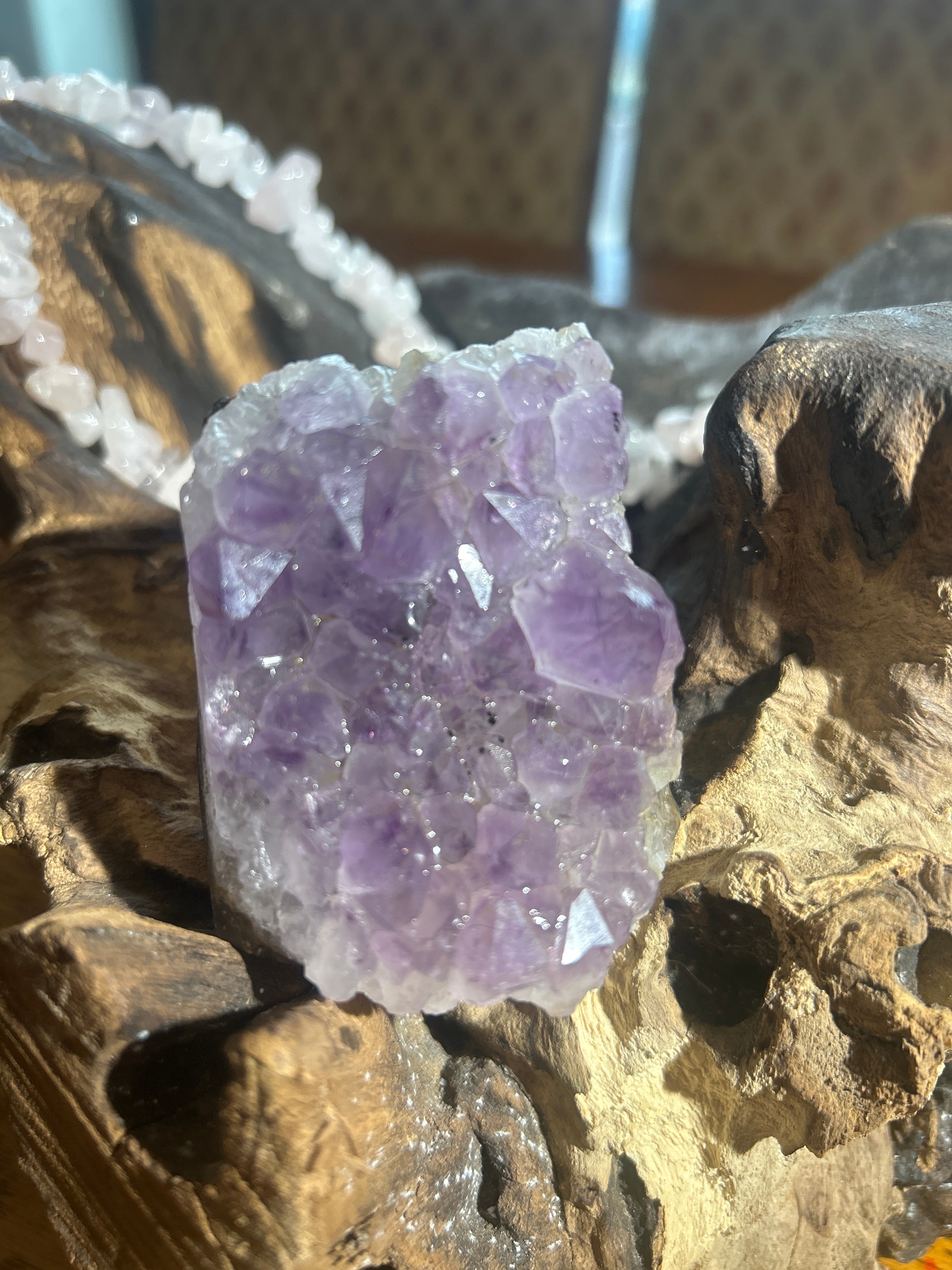 Amethyst Crystal Cluster – 2 Inches Tall, 8 Inches Round | Purification & Inner Peace”