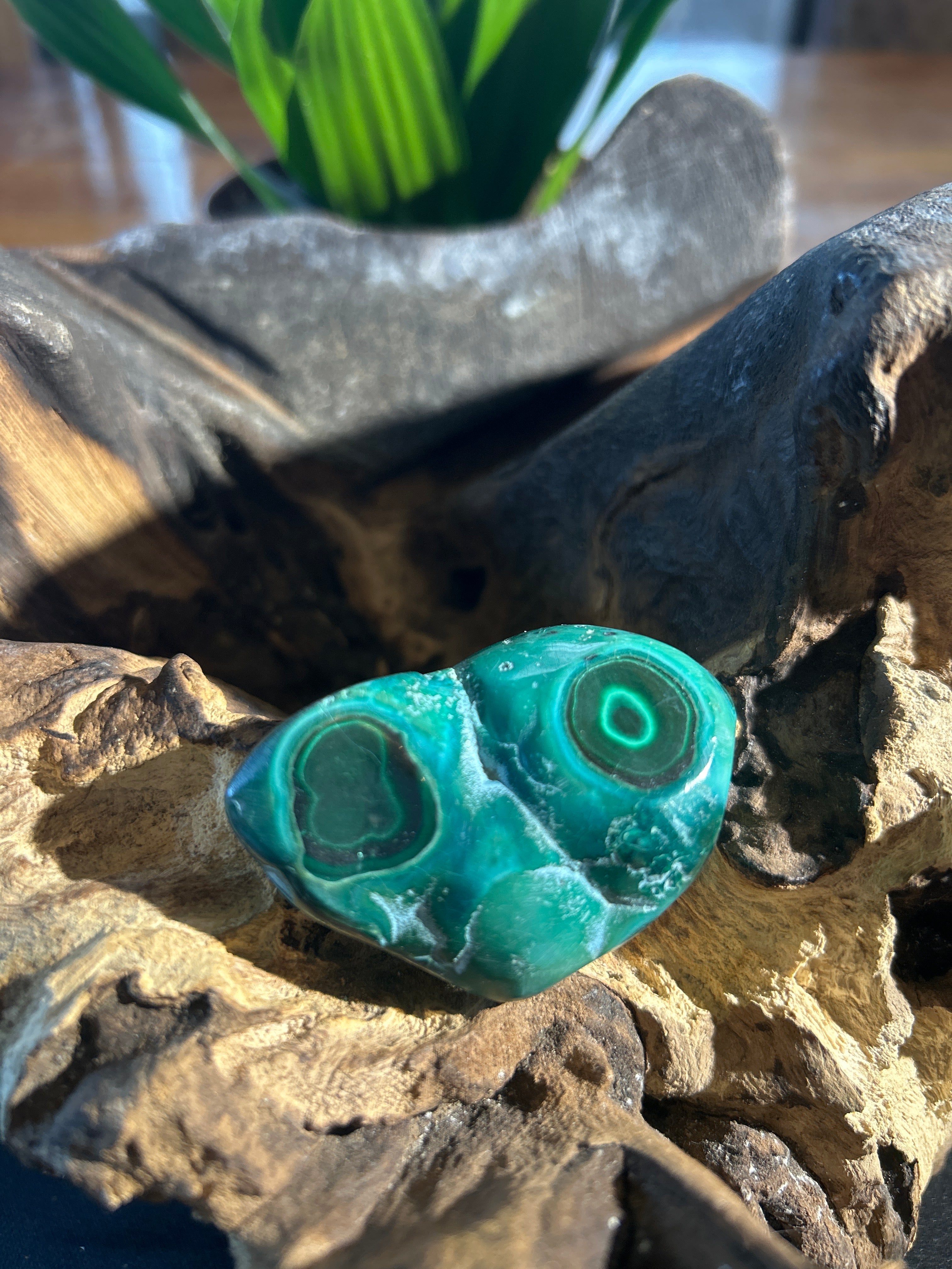 Malachite Essence: Unveiling Nature’s Power in Every Swirl 1 3/4“ x 1“