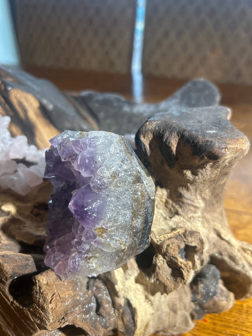 Amethyst Crystal Cluster – 2 Inches Tall, 8 Inches Round | Purification & Inner Peace”
