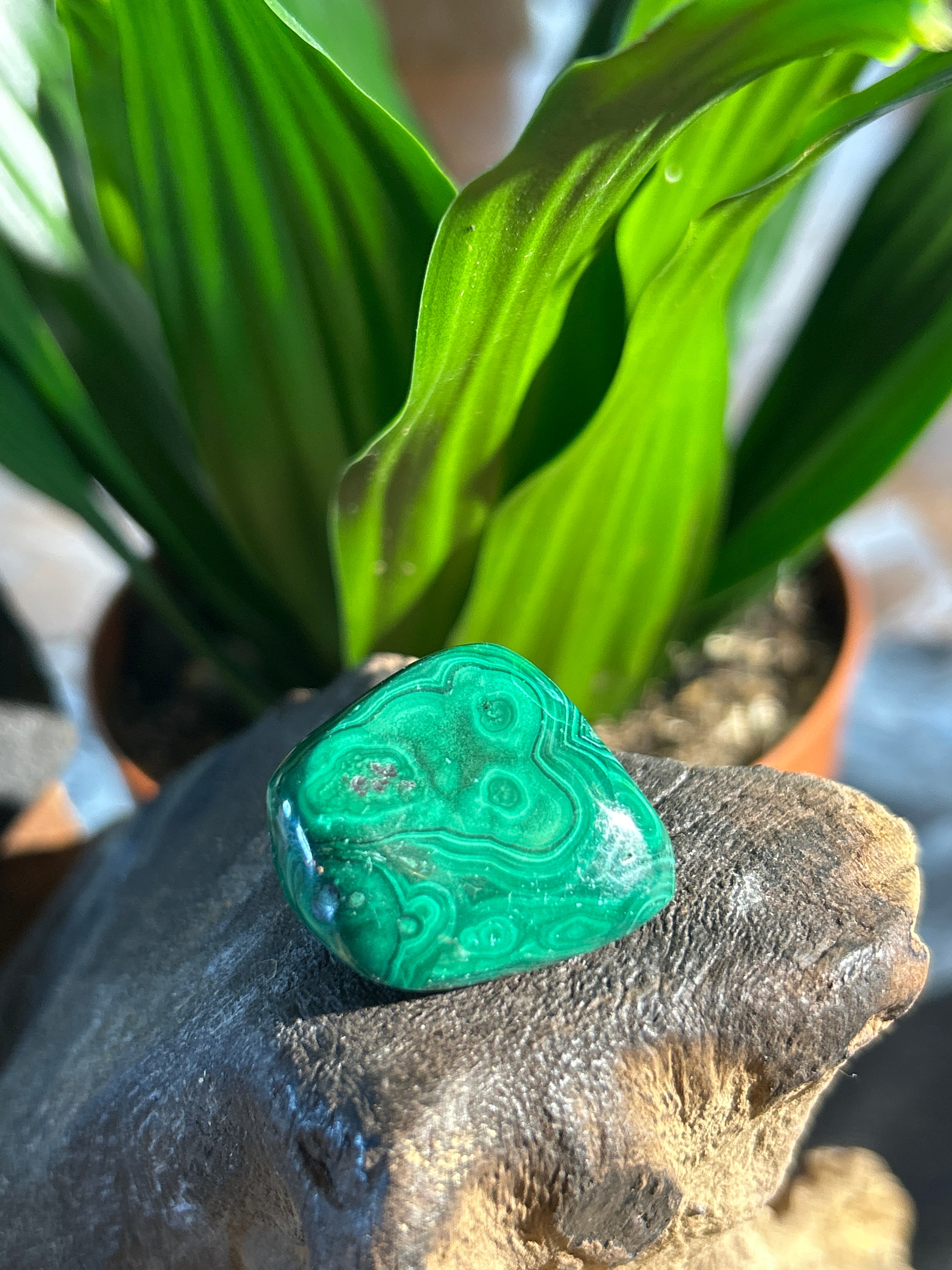 Malachite Tumbled Stone: A Compact Portal to Balance