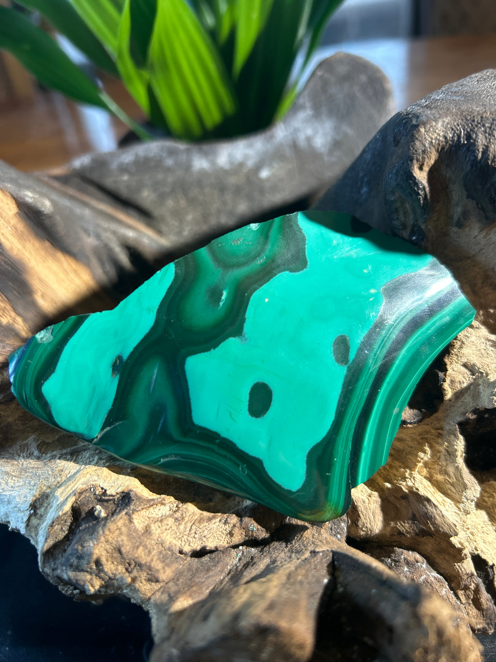 Malachite Clarity: A Polished Reflection of Growth and Balance CV