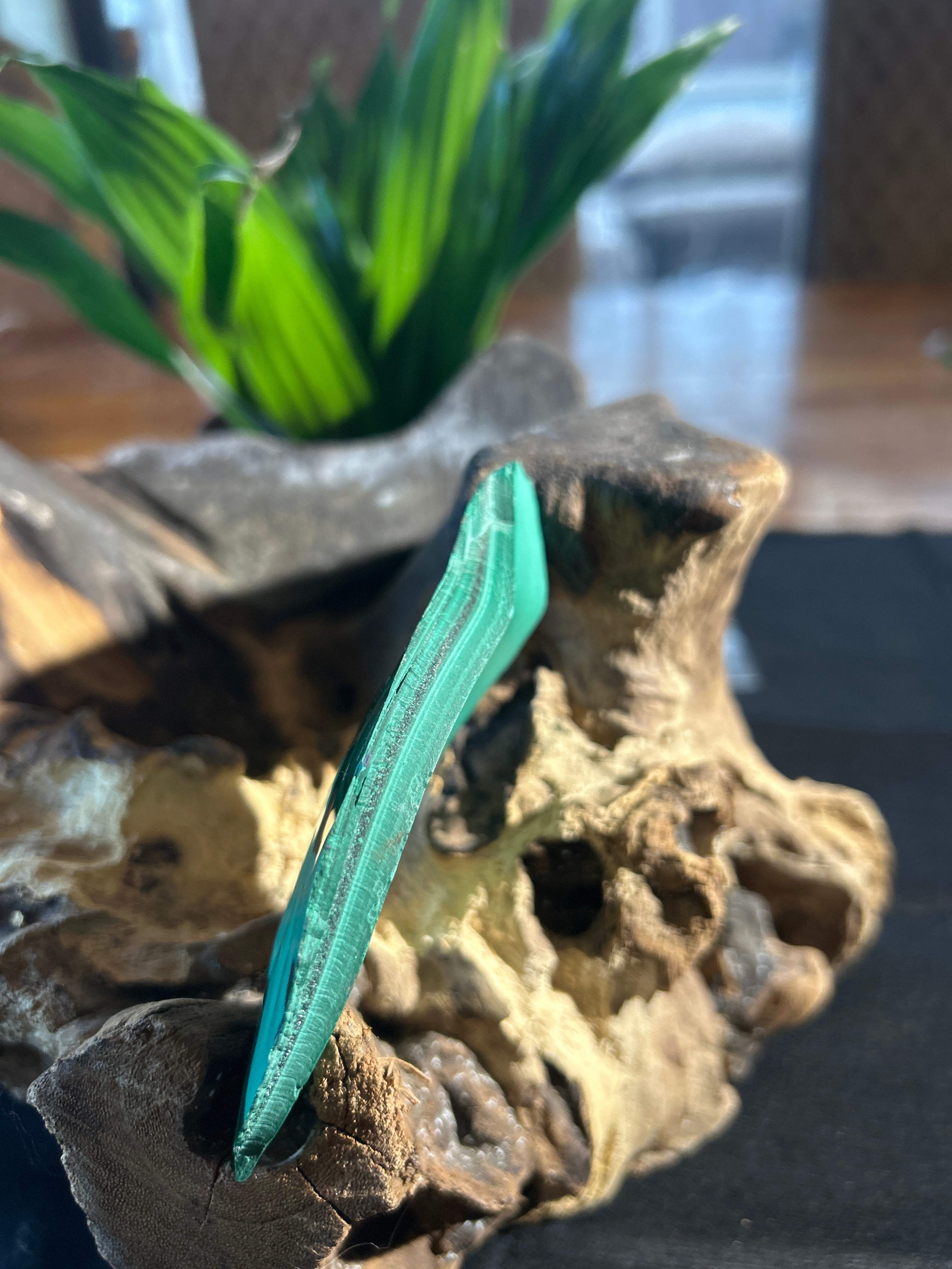 Malachite Clarity: A Polished Reflection of Growth and Balance CV