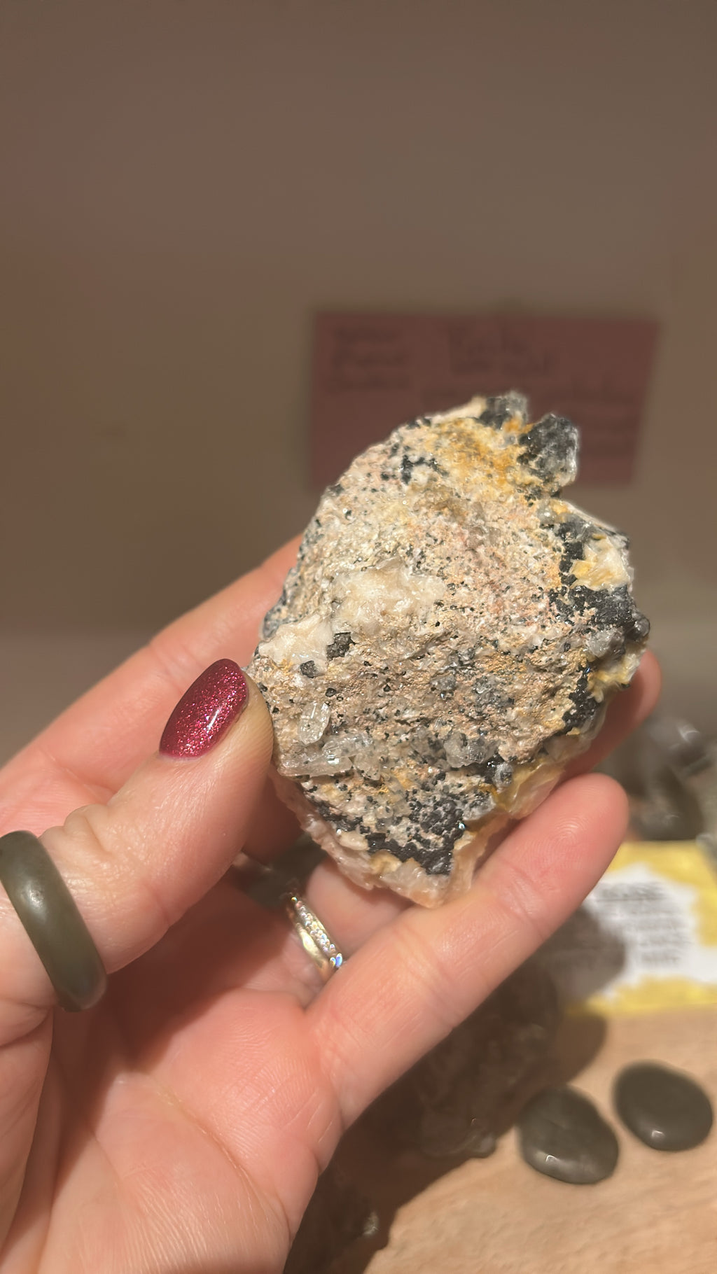 Desert Rose with Pyrite: Nature’s Warm Embrace