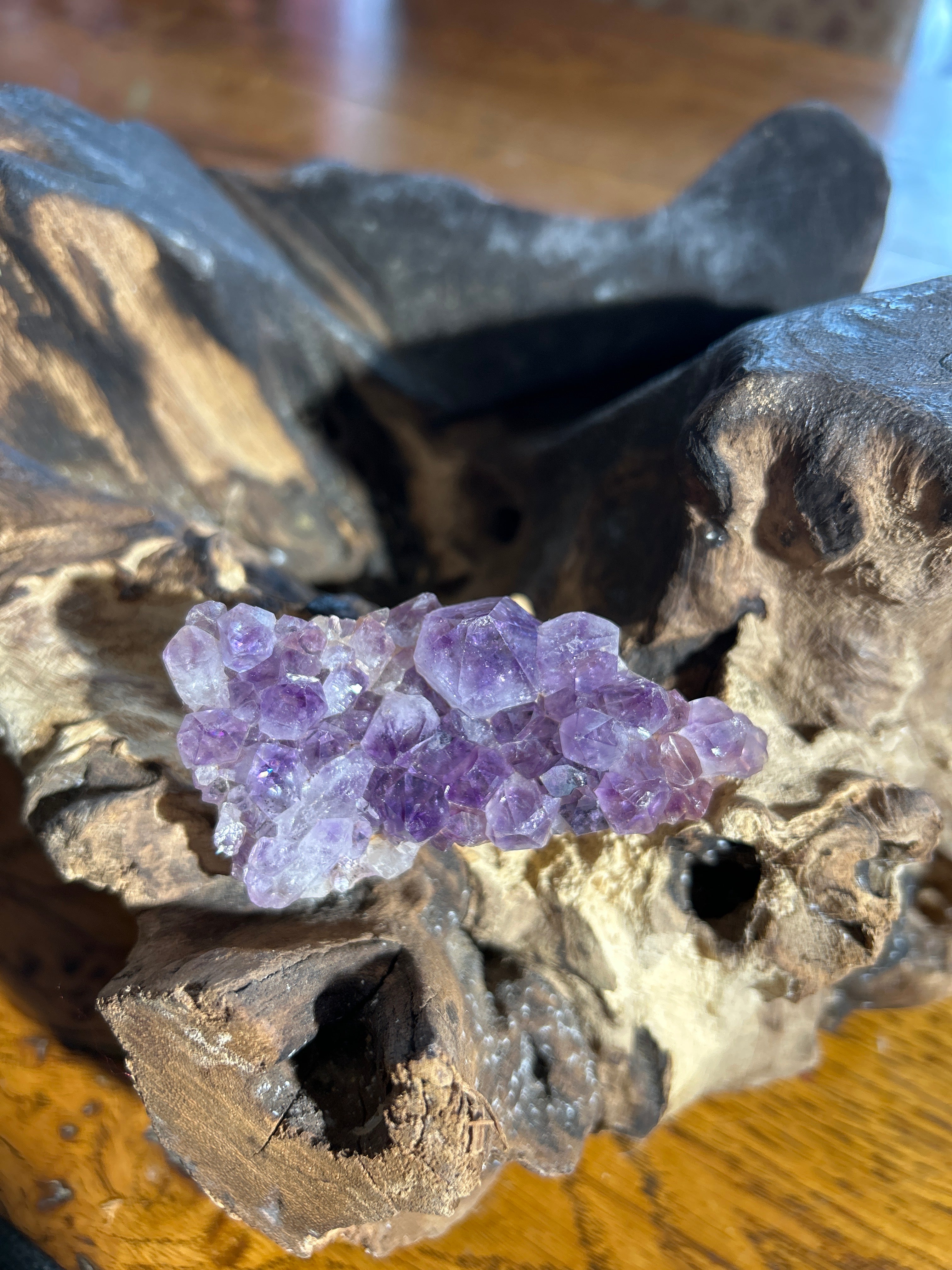 Amethyst Cluster Specimen – 3.5 Inches