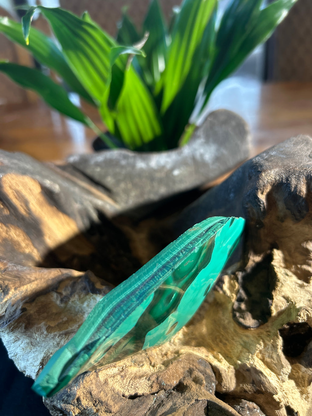 Malachite Clarity: A Polished Reflection of Growth and Balance CV