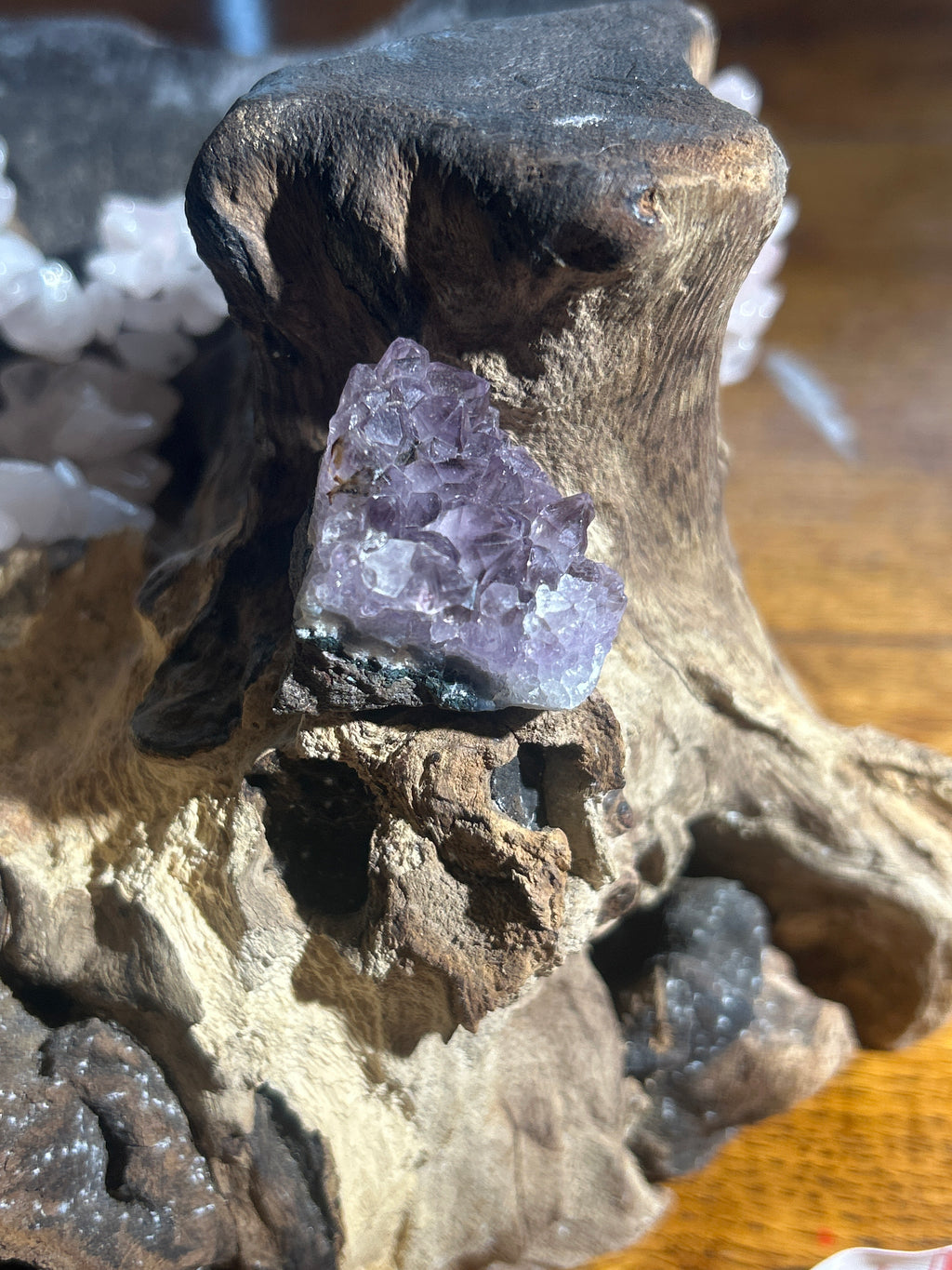 Amethyst cluster