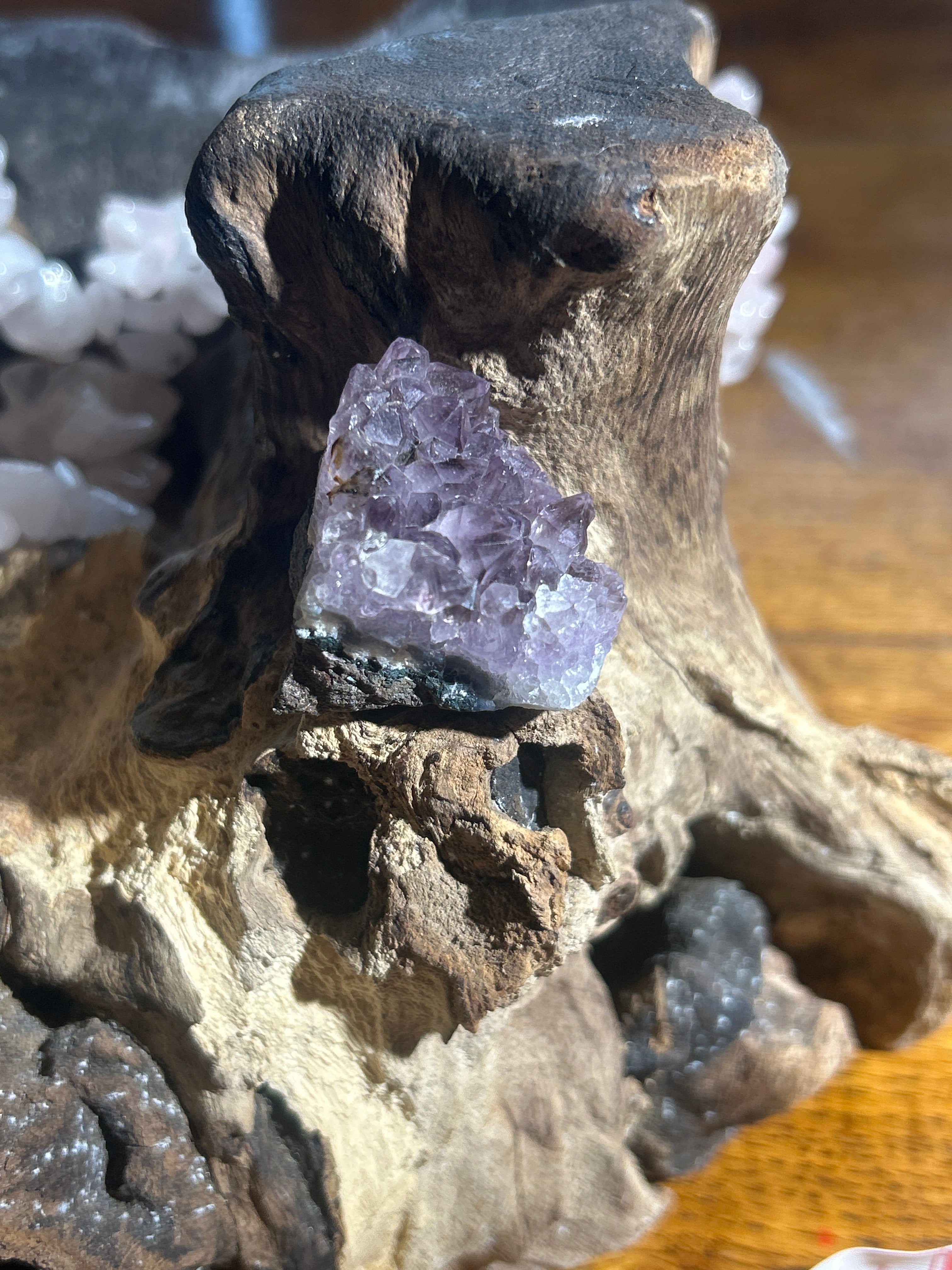 Amethyst cluster