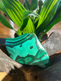 Malachite Clarity: A Polished Reflection of Growth and Balance CV