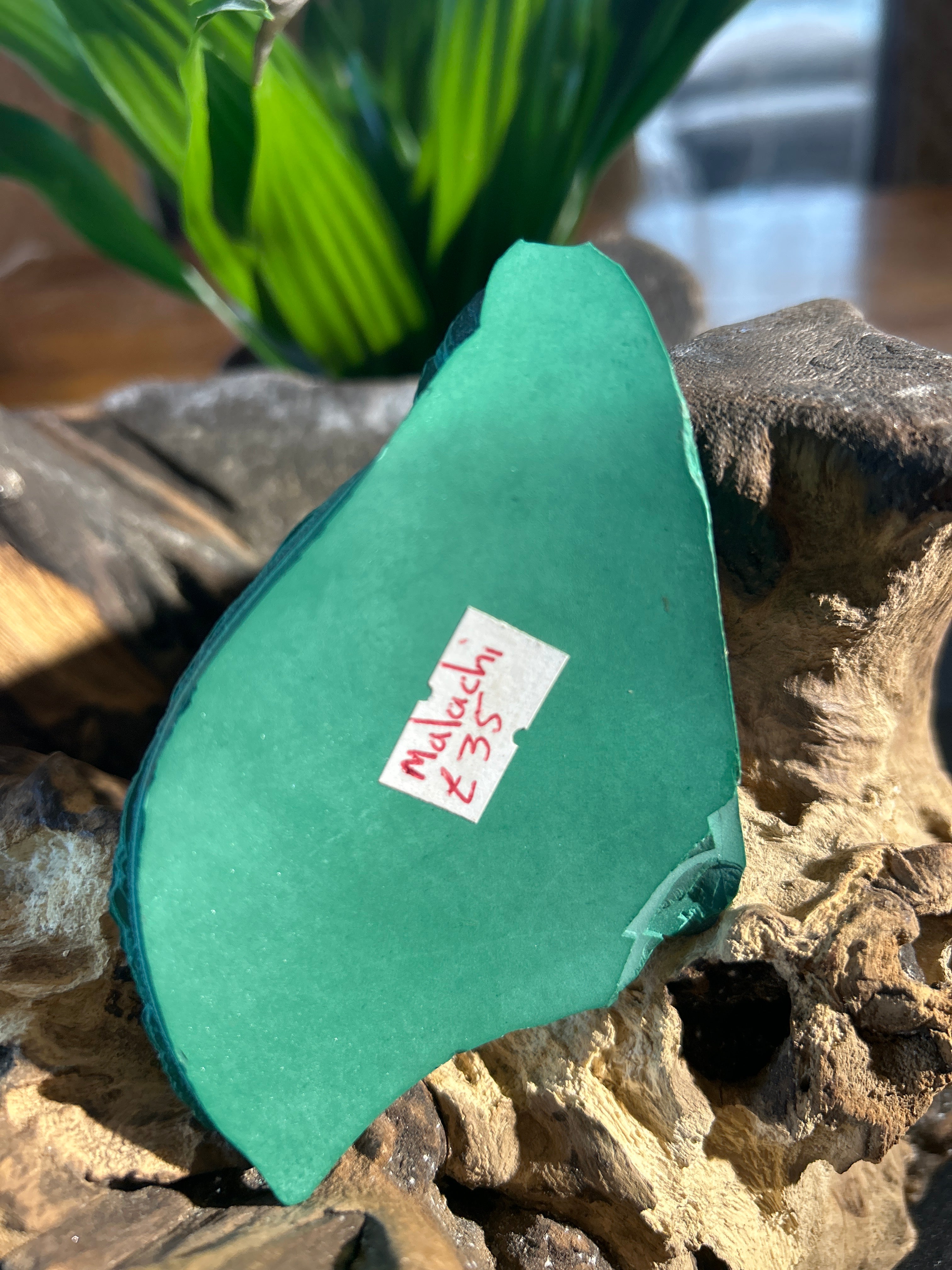 Malachite Clarity: A Polished Reflection of Growth and Balance CV