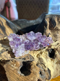 Amethyst Cluster Specimen – 3.5 Inches