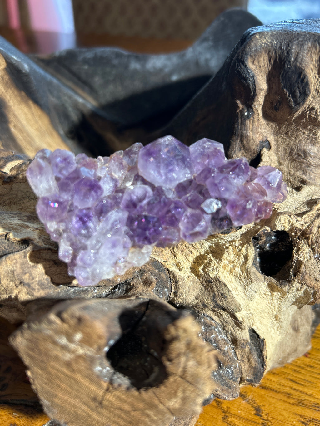 Amethyst Cluster Specimen – 3.5 Inches