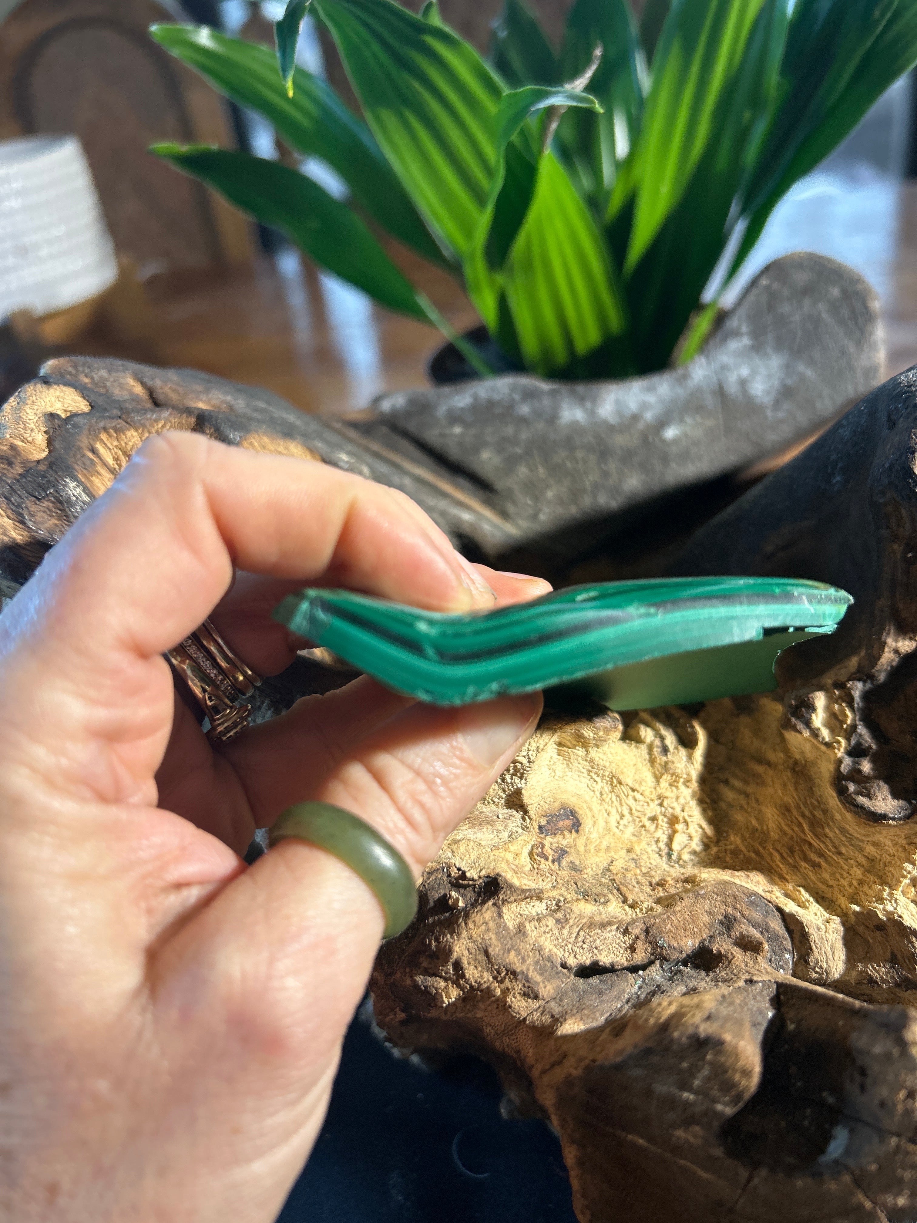 Malachite Clarity: A Polished Reflection of Growth and Balance CV