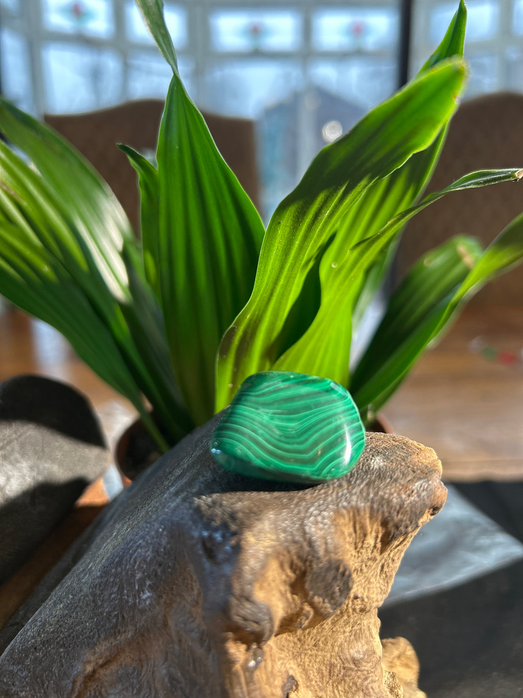 Malachite Tumbled Stone: A Compact Portal to Balance