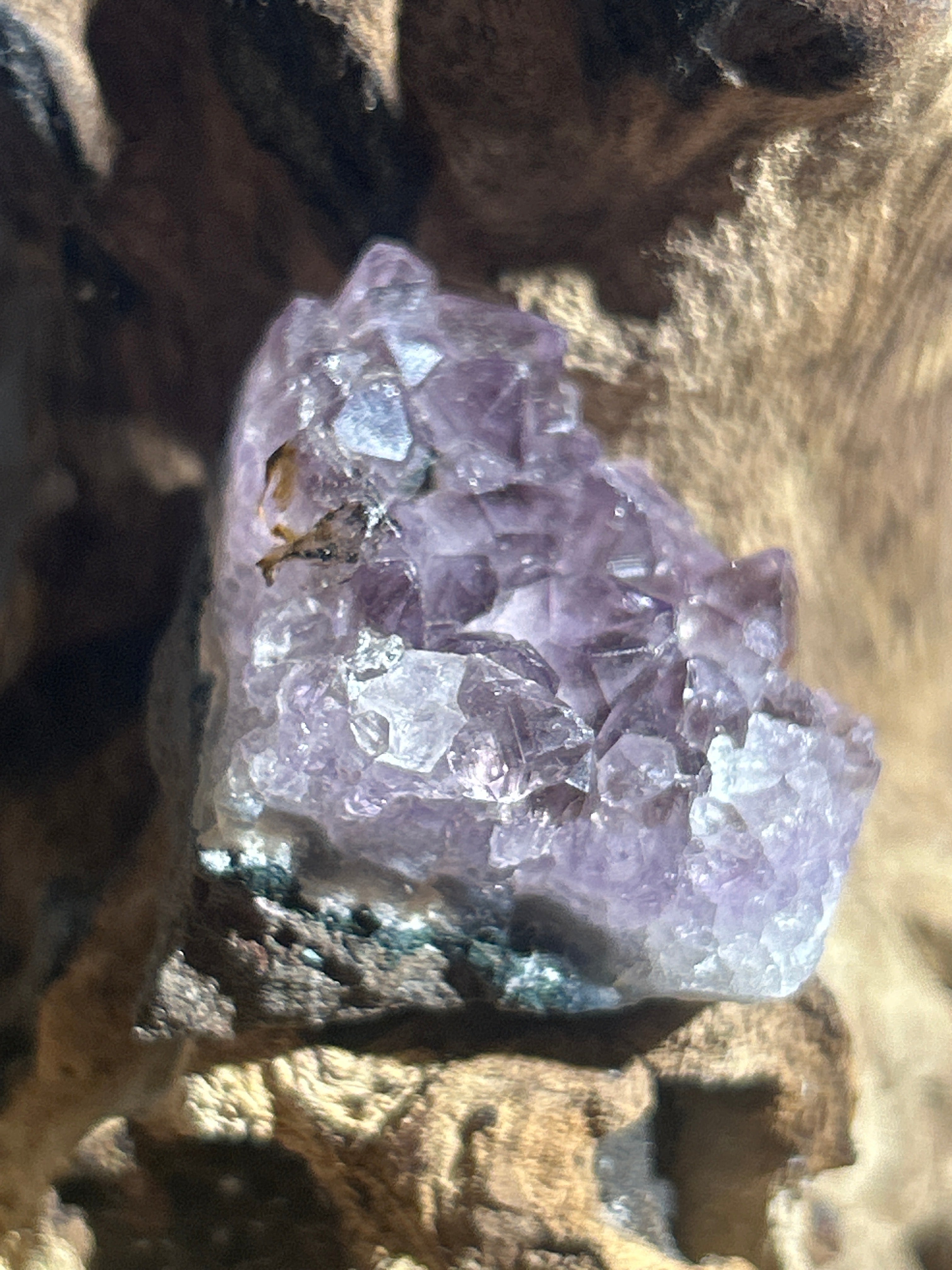 Amethyst cluster