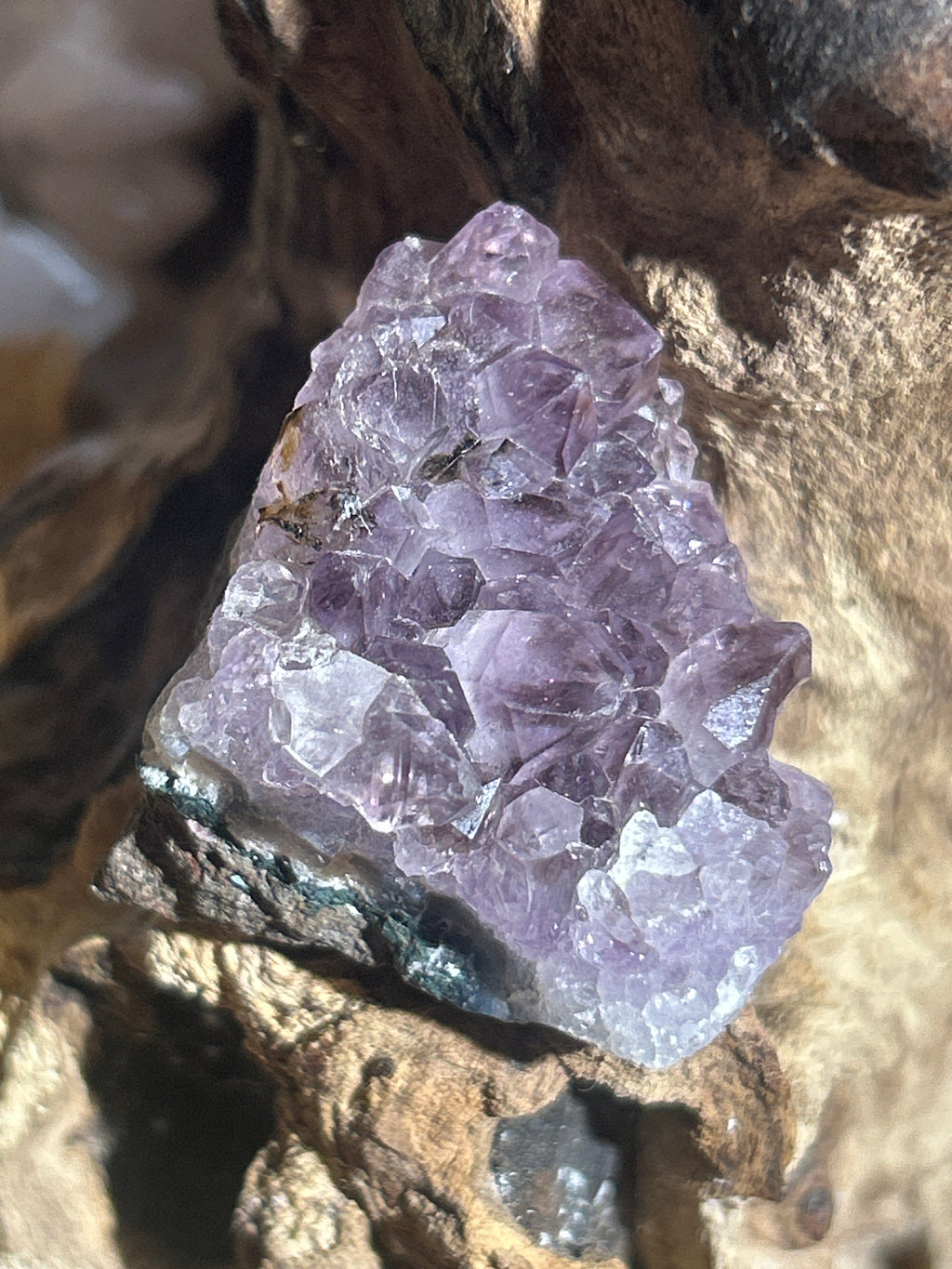 Amethyst cluster