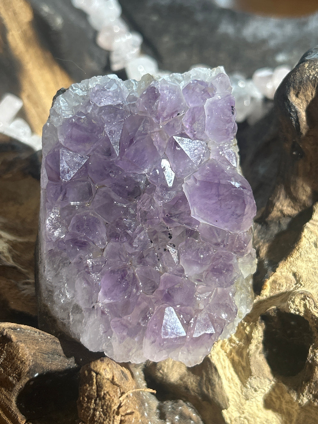 Amethyst Crystal Cluster – 2 Inches Tall, 8 Inches Round | Purification & Inner Peace”